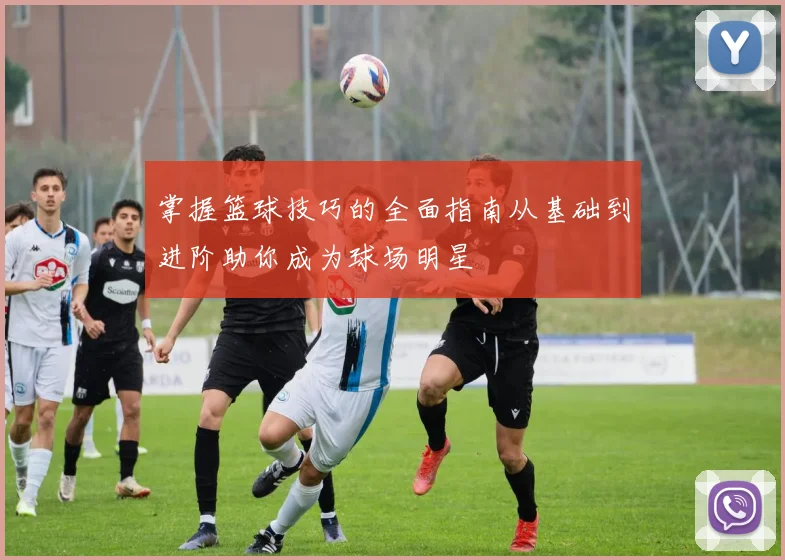 掌握篮球技巧的全面指南从基础到进阶助你成为球场明星