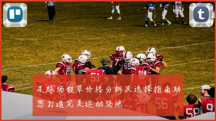 足球场假草价格分析及选择指南助您打造完美运动场地