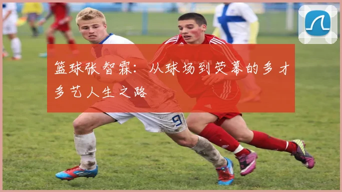 篮球张智霖：从球场到荧幕的多才多艺人生之路