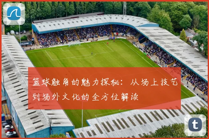篮球触角的魅力探秘：从场上技艺到场外文化的全方位解读