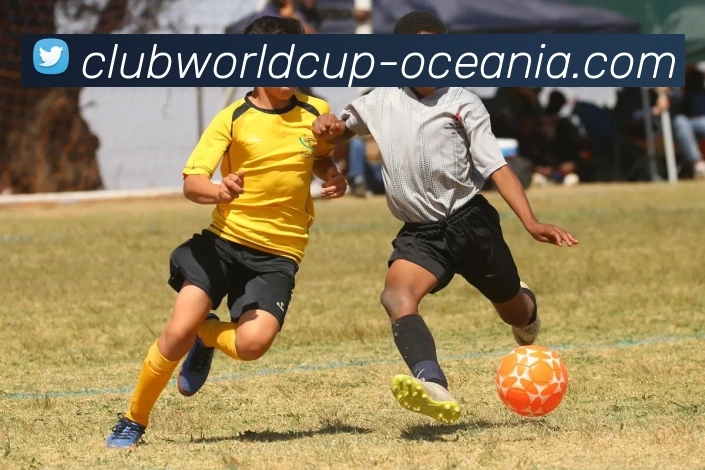 世界杯平台平台生态图